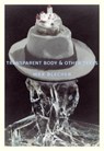 Transparent Body & Other Texts - Max Blecher - 9788088628033