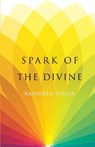 Spark of the Divine - Rajinder Singh - 9788128838514