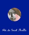 Niki De Saint Phalle -  - 9788415691983