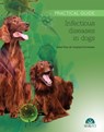 Infectious Diseases in Dogs - Rafael Ruiz de Gopegui - 9788416818365