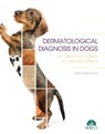 Dermatological diagnosis in dogs. An approach based on clinical patterns - Maite Verde - 9788417225360