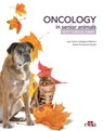 Oncology in Senior Animals with Clinical Cases - Juan Carlos Cartagena ; Adrián Romairone - 9788418020032