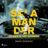 Salamander: Schot in het donker - Bavo Dhooge - 9788726954142