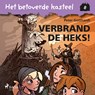 Het betoverde kasteel 8 – Verbrand de heks! - Peter Gotthardt - 9788728020968