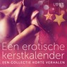Een erotische kerstkalender: een collectie korte verhalen - LUST authors - 9788728399699
