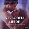 Verboden liefde - 8 Erotische korte verhalen over controversiële relaties - Alexandra Södergran ; Andrea Hansen ; Camille Bech ; Elena Lund ; B. J. Hermansson - 9788728587010