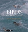 Birds of Greenland - David Boertmann - 9788775976737