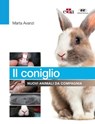 Il coniglio - Marta Avanzi - 9788821455001