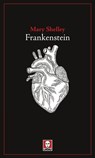 Frankenstein - Mary Shelley ; Sara Noto Goodwell ; Nicoletta Vallorani - 9788833531182