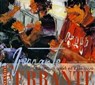 Mario Ferrante - Francesco Giulio Farachi ; Sarah Franzosini ; Cecilia Limpido ; Carlo Maria Pesaresi ; Umberto Piersanti ; Massimo Rossi Ruben - 9788849207545