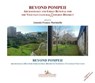 Beyond Pompeii - Antonio Franco Mariniello - 9788849211108