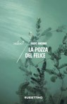 La pozza del Felice - Fabio Andina - 9788849857566
