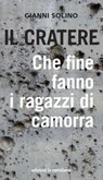 Il cratere - Gianni Solino - 9788861536616