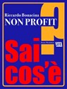 Non profit - Riccardo Bonacina - 9788861599345