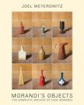 Joel Meyerowitz: Morandi's Objects - Amanda Renshaw - 9788862088565