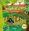 Taschenlampe an! Suche die versteckten Dschungeltiere - Cristina Banfi - 9788863125672