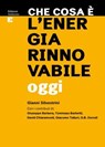 Che cosa è l'energia rinnovabile oggi - Gianni Silvestrini ; Giuseppe Barbera ; Tommaso Barbetti ; David Chiaramonti ; Giacomo Talluri ; G.B Zorzoli - 9788866273684