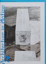 In Medias Res #2: Architecture in Motion - BRZEK,  Dennis ; Thiede, Junia - 9788867495283