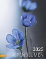 Alpenblumen Kalender 2025 -  - 9788868397425