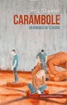 Carambole - Jens Steiner - 9788897924791