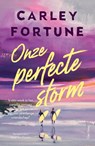 Onze perfecte storm - Carley Fortune - 9789000403691