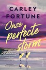 Onze perfecte storm - Carley Fortune - 9789000403691