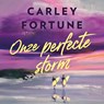 Onze perfecte storm - Carley Fortune - 9789000405084
