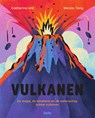 Vulkanen - Catherine Ard - 9789002286919