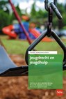 Jeugdrecht en jeugdhulp - Mariëlle Bruning ; Yannick van den Brink ; Lies Punselie - 9789012409247