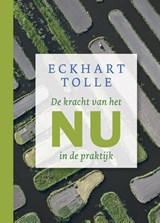 De kracht van het nu in de praktijk, Eckhart Tolle -  - 9789020212983