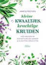 Kleine kwaaltjes, krachtige kruiden - Anntje Peeters - 9789022339640