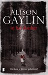 In het donker - Alison Gaylin - 9789022575208