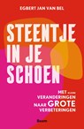 Steentje in je schoen - Egbert Jan van Bel - 9789024450824