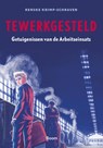 Tewerkgesteld - Renske Krimp-Schraven - 9789024464913