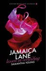 Jamaica Lane - Lessen in verleiding - Samantha Young - 9789024585878
