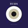 Big data - Bart van der Sloot - 9789025311865
