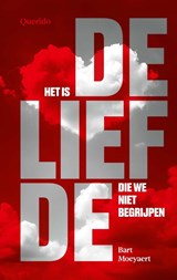 Het is de liefde die we niet begrijpen, Bart Moeyaert -  - 9789025319137