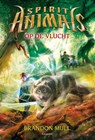 Op de vlucht - Brandon Mull - 9789025867041