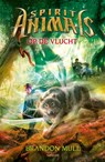 Op de vlucht - Brandon Mull - 9789025886721