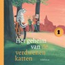 Het geheim van de verdwenen katten - Gonneke Huizing - 9789025890094