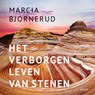 Het verborgen leven van stenen - Marcia Bjornerud - 9789025913335