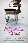 Het gestolen kind - Diney Costeloe - 9789026158452