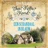 Een schandaal in blauw - Ellen Barksdale - 9789026179693