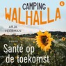 Santé op de toekomst - Arja Veerman - 9789026179976