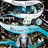 Mijn naam is Morgen - Damian Dibben - 9789026346699