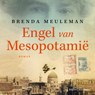 Engel van Mesopotamië - Brenda Meuleman - 9789026352454