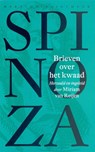 Brieven over het kwaad - Benedictus de Spinoza ; Willem van Blijenbergh - 9789028424883
