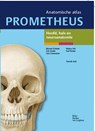 Hoofd, hals en neuroanatomie - Michael Schünke ; Erik Schulte ; Udo Schumacher ; Taalcentrum - 9789031384617