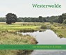 Westerwolde - Edward Houting - 9789033009310