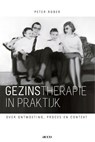 Gezinstherapie in praktijk - Peter Rober - 9789033488214